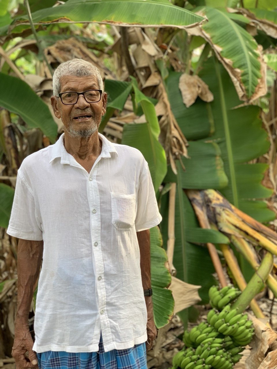 Ali's father at his banana farm, Vaikaradhoo — the man whose values built Maldives Holiday Escape