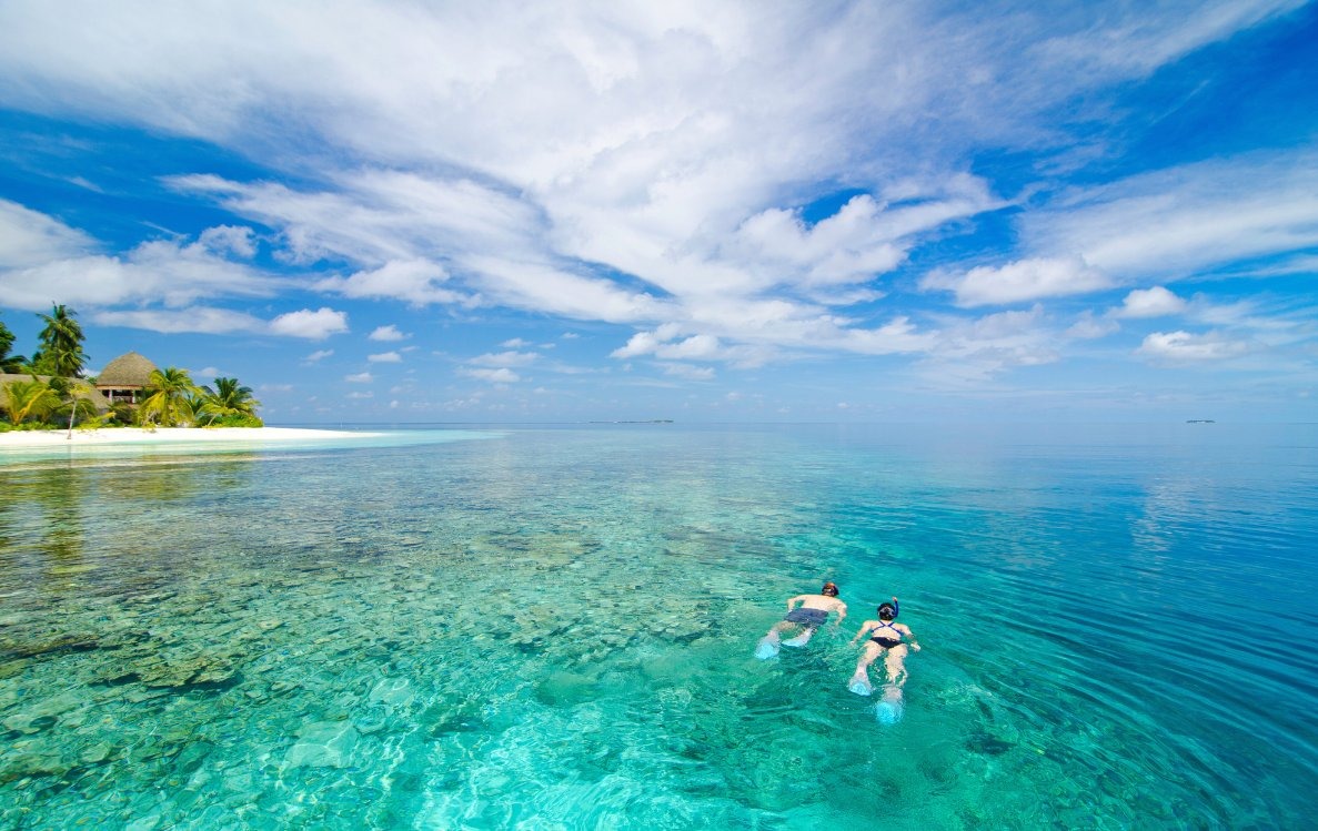 Local island vs resort