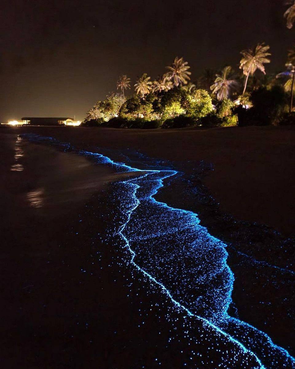 Maldivian local island